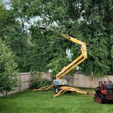 Best Leaf Removal  in Lithopolis, OH