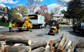 Best Stump Grinding and Removal  in Lithopolis, OH