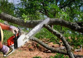 Best Lawn Maintenance Plans  in Lithopolis, OH