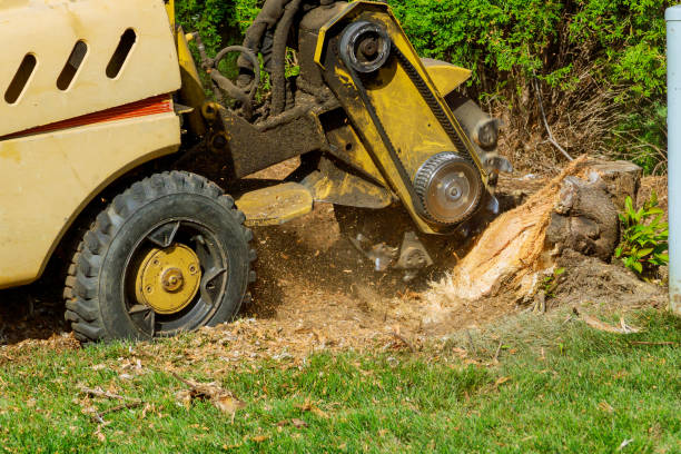 Best Lawn Drainage Solutions  in Lithopolis, OH
