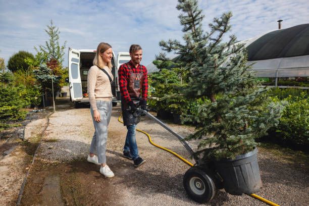 Mulching Services in Lithopolis, OH
