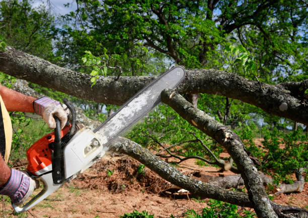Best Mulching Services  in Lithopolis, OH